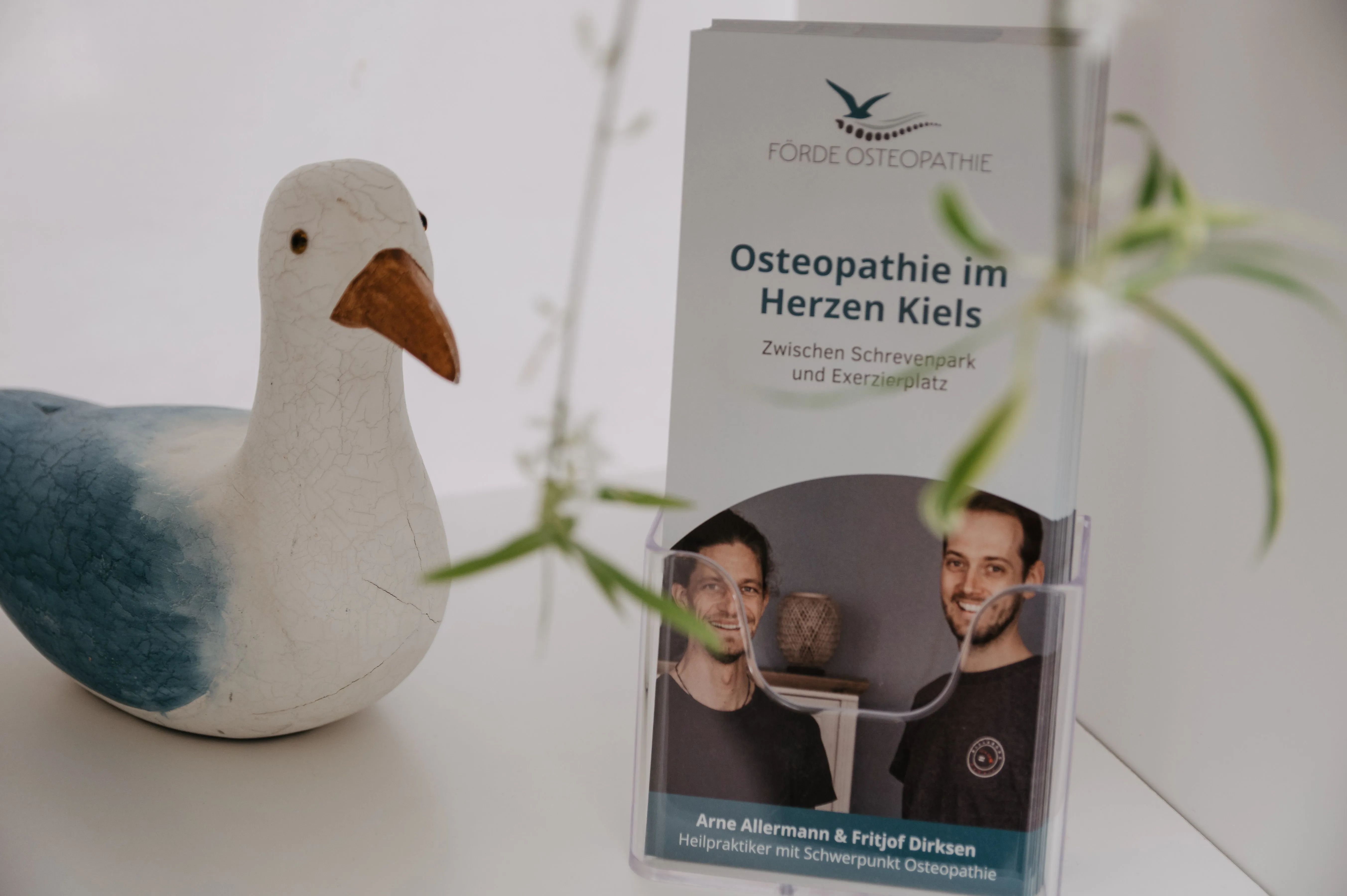 osteopathie-kiel-förde-osteopathie-möwe-kiel osteopathie-kiel-förde-osteopathie-möwe-kiel